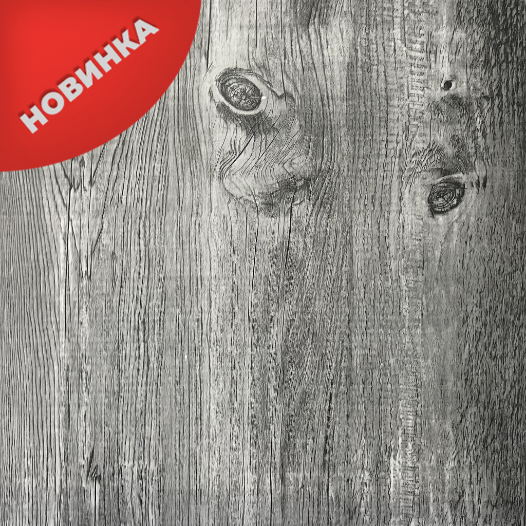 Д7-007 Снежный дуб2.jpg